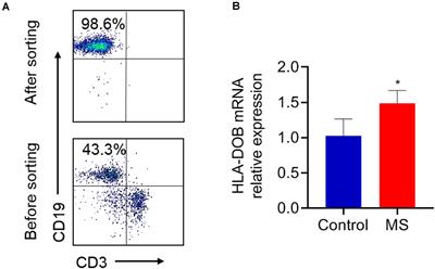 Gene-Based Tests of a Genome-Wide Association Study Dataset Highlight Novel Multiple Sclerosis Risk Genes